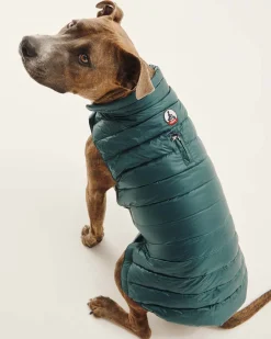 JOTT Down Jacket For Dogs Dark Green Woop 203 Dark Green Outlet