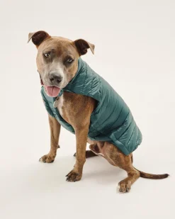 JOTT Down Jacket For Dogs Dark Green Woop 203 Dark Green Outlet