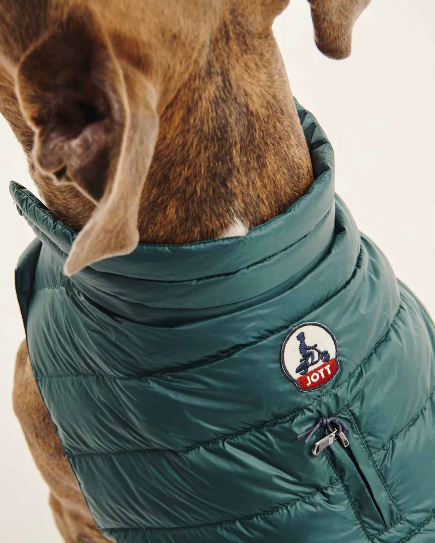 JOTT Down Jacket For Dogs Dark Green Woop 203 Dark Green Outlet