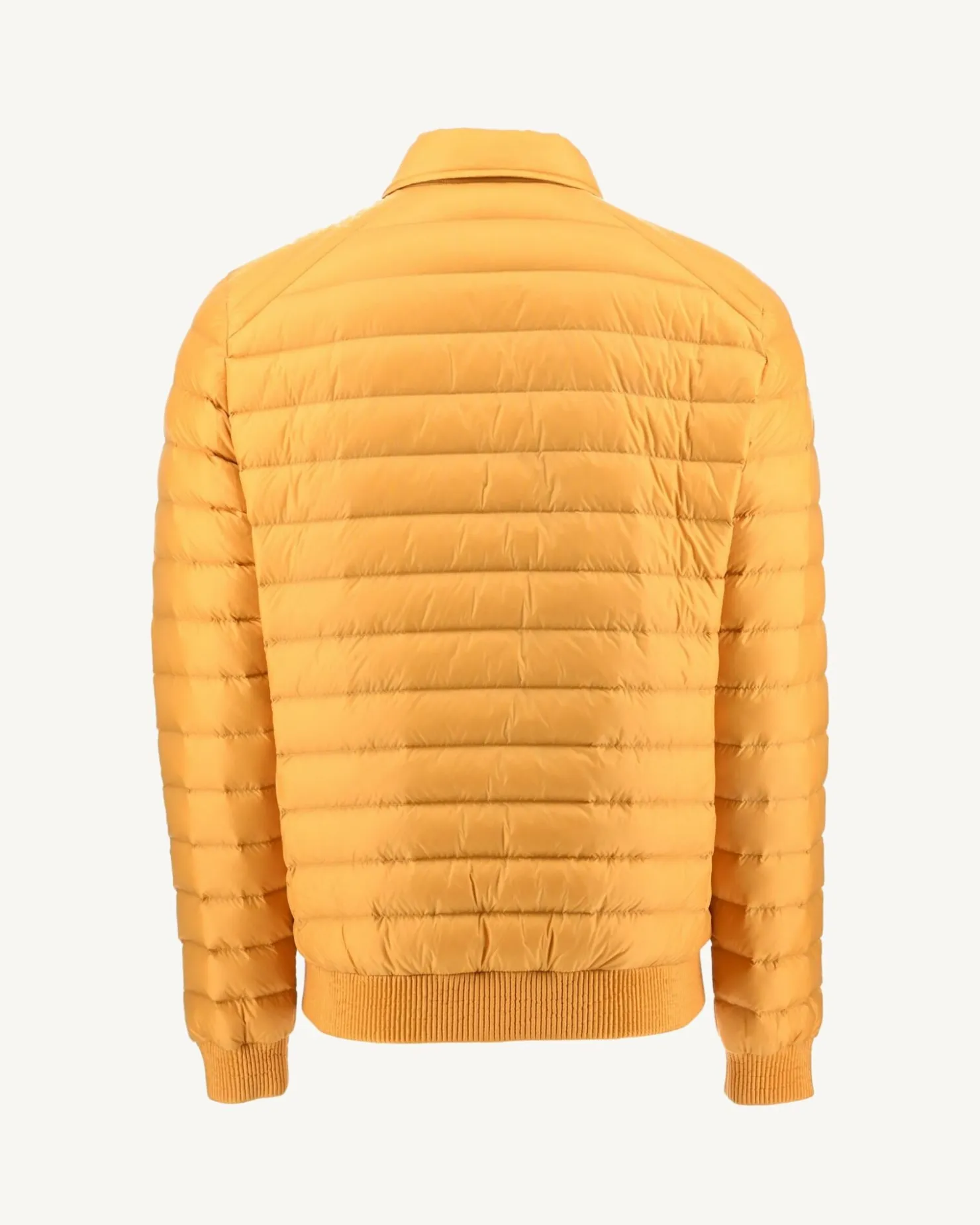 JOTT Mustard Down Jacket James 621 Mustard Cheap