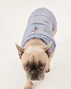 JOTT Washed Blue Dog Jacket Woop 182 Faded Blue Flash Sale